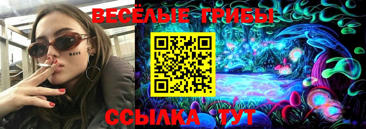 купить наркотики сайты  Псилоцибиновые грибы Cubensis  Вход с VPN  Выкса  Псилоцибиновые грибы прущие грибы 